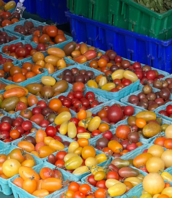 ถาดอาหารพลาสติก