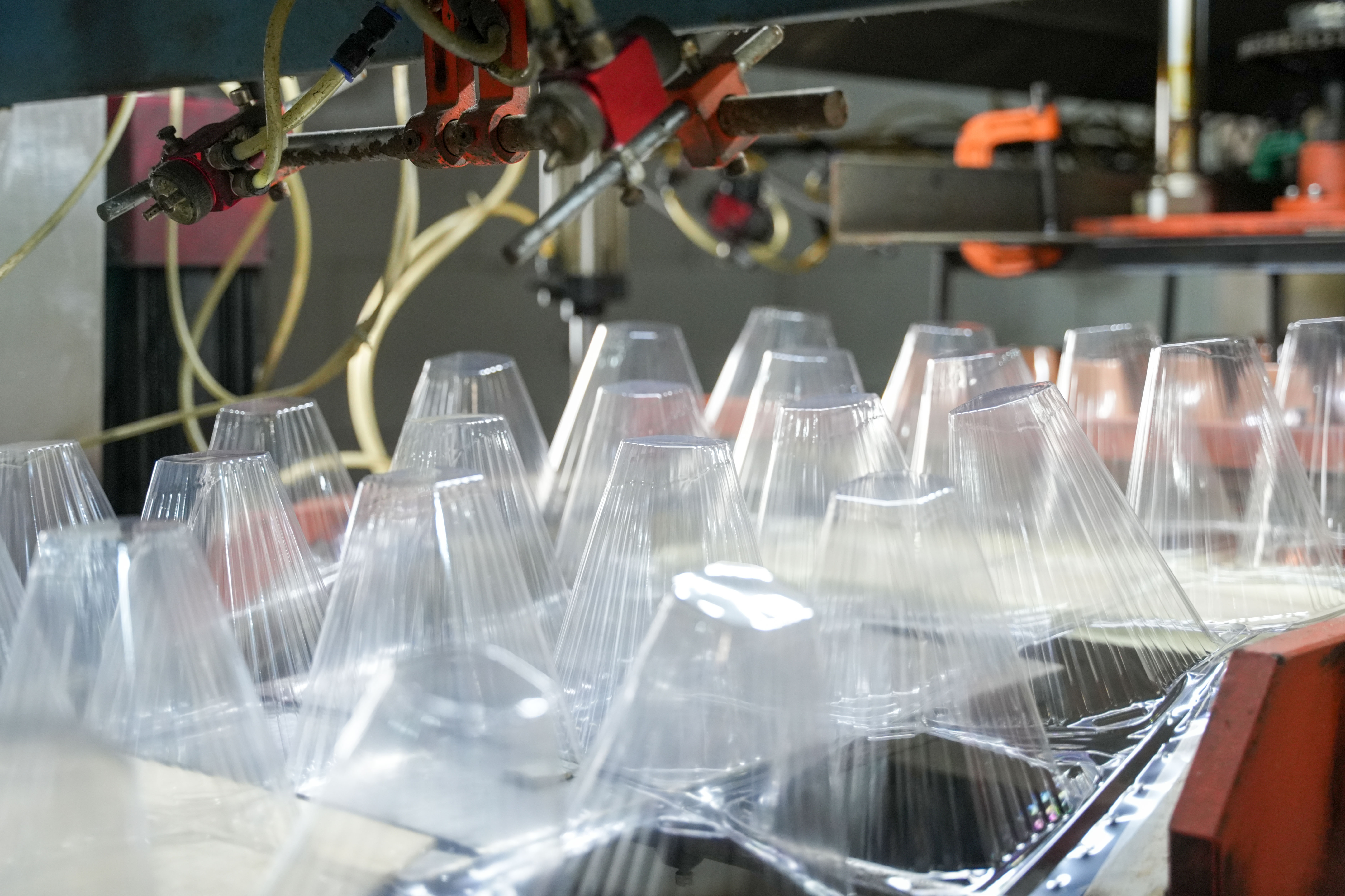 ฝาครอบต้นกล้าพลาสติกแบบใช้แล้วทิ้งช่วยปกป้องต้นกล้าจากสัตว์รบกวน แมลง และสัตว์เล็กได้อย่างไร